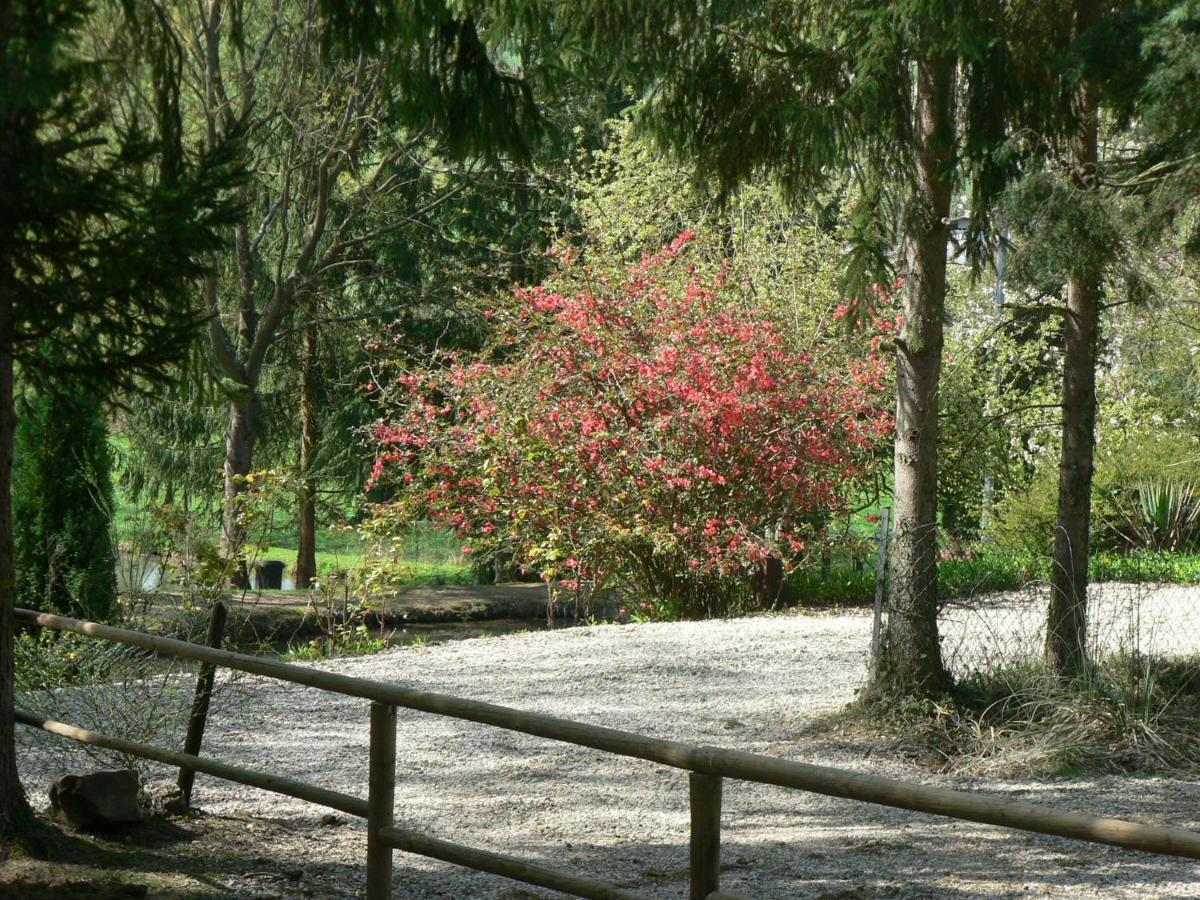 Etangs Du Moulin Hotell Suzy Rum bild